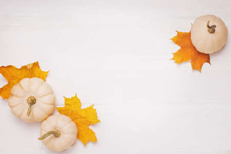 Small white pumpkins and autumn leavesの写真素材