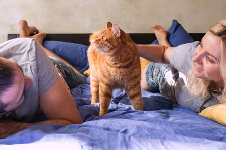 Young cheerful couple lying in the bed with their ginger cat.の写真素材