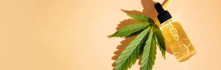 Banner with bottle of hemp oil and cannabis leafの写真素材