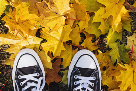 Womans feet in sneakers standing on fallen yellow autumn leaves
