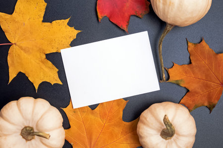 Empty paper card, maple leaves and white decorative pumpkings.