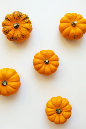 Small decorative pumpkins on white background