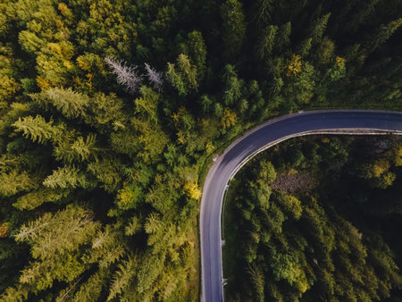 Aerial top view of curvy mountain road goingthroughthe pine forest.