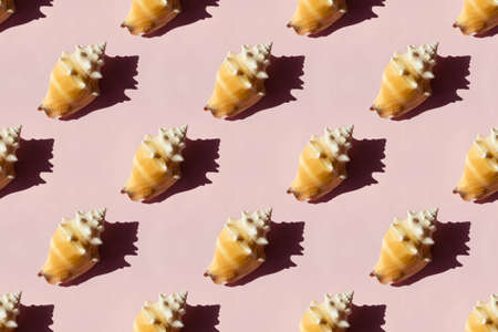 Seashells on pink background, seamless patternの写真素材