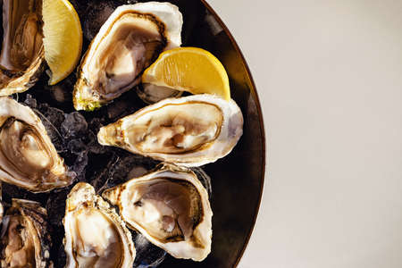 Raw oysters with ice and lemon slices on a plate close-up. Natural sunlightの写真素材