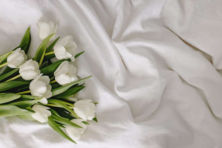 Bouquet of spring white tulips on the bedの写真素材