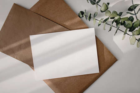 Empty paper card and eucalyptus branches on the white table.の写真素材