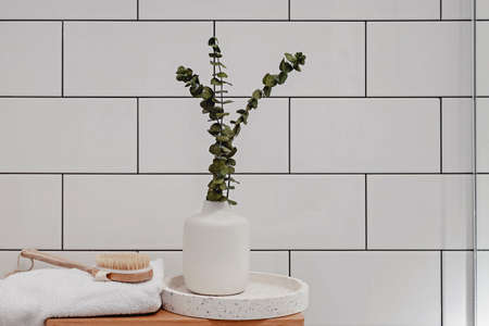 Massage brush and eucalyptus branches in the vase.の写真素材