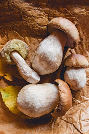 Wild porchini mushrooms and yellow leaves, top view.の写真素材