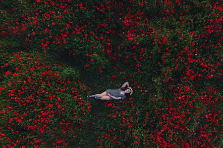 Woman lying in the poppy field, aerial drone viewの写真素材