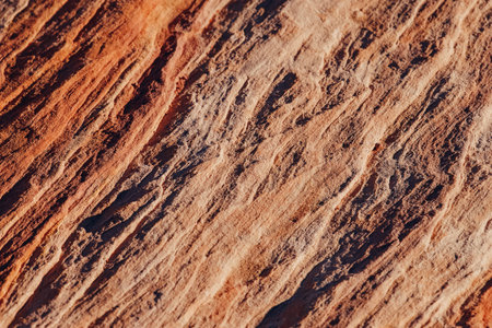 Close-up of stone texture, Valley of fire state park stones