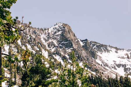 Mountain with a snow and pine trees, views near Lake Tahoe in the springの写真素材