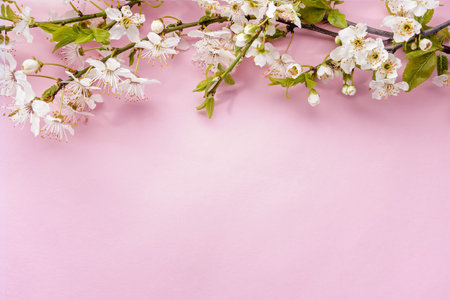 Spring blooming branches on pink background, top view, copy space