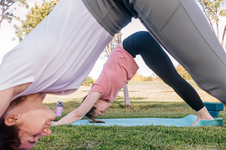 Two young women in the park doing yoga in the morning. Exercising outdoors, healthy lifestyle