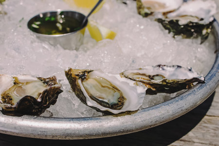 Delicious fresh oysters on the tray close-up. Seafood lunchの写真素材