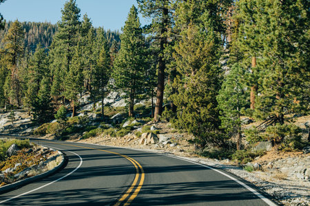 Curvy road through the wilderness on sunny day, California, USAの写真素材