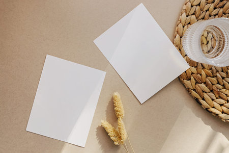 Two blank white cards on the beige background, with dry grass, top view. Modern minimalist mock-up