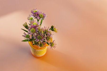 Flowers in the orange plastic bottle for prescribed medication. Alternative medicine concept....
