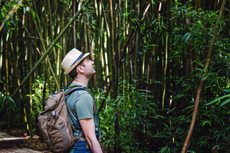 Man with a backpack enjoying nature in beautiful green forest with bamboo treesの写真素材