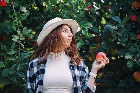 Woman in a hat holding ripe red apple from the tree. Autumn harvestの写真素材