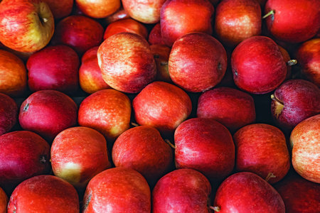 Delicious red apples on the farmers market, top viewの写真素材