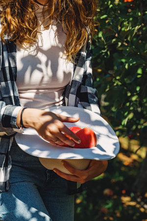 Woman holding a hat full of freshly picked red apples in the shadow of a treeの写真素材