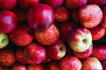 Close-up of Organic red apples on the farmers marketの写真素材