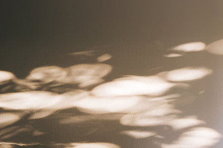 Shadows from the tree on the wall, abstract backgroundの写真素材