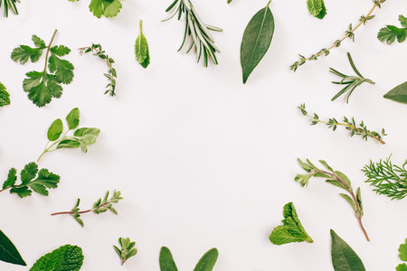 Collection of fresh green herbs arranged on a clean white background with empty space in centerの写真素材