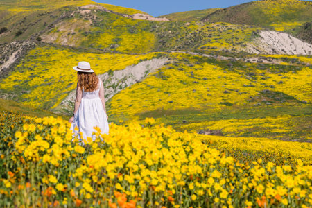 Woman in a white dress in the wildflower meadow on a sunny day, view from the back