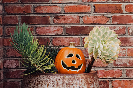 Ceramic decorative Halloween pumpkin and succulents outside of the houseの写真素材