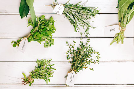 Various aromatic green herbs in bunches on the white table, top view
