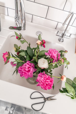 White and pink beautiful fresh peonies from the garden in the kitchen sink. Summer home decorationの写真素材