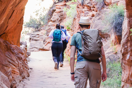 Group of friends hiking in Zion national park, view from the back.の写真素材