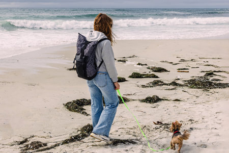Woman walking with a cute yorkshire terrier dog on the beach near the ocean