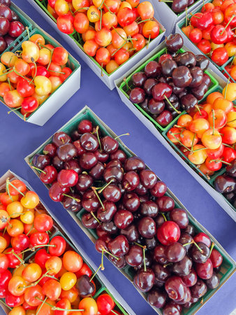Variety of fresh sweet cherries on farmers marketの写真素材