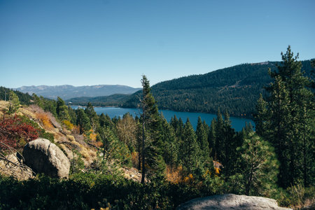 Beautiful blue lake placed between green, covered in pines mountains