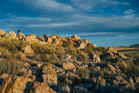 Beautiful landscape of a hill, covered in rocks and plants, laying in sundown smooth light