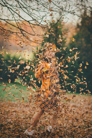 Young girl in yellow clothes scattering golden autumn leaves everywhereの写真素材