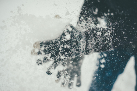 Female hands in black wool gloves, playing with snow closeupの写真素材