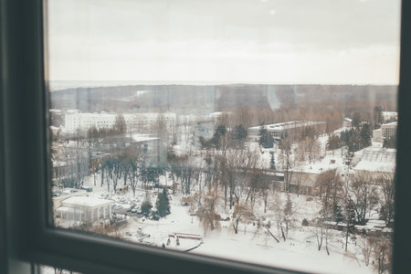 nice winter park view from the restaurant window