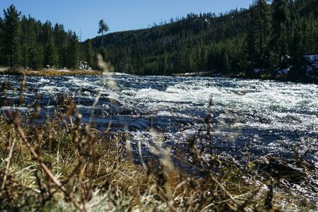A strong sweat of a mountain river with blue water and white foam runs down. Grass in the foreground and mountains in the background. Blue clear sky. Landscape in Yellowstone Parkの写真素材