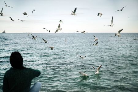  Seagulls fly over the sea. A blurred girl sits on a pier and feeds the birds. Grey sky. Windy weather. Appeasement.の写真素材