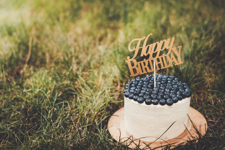 Beautiful festive curd childrens cake with blueberries