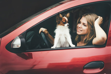 Close-up of a young girl and a white red dog in the car.の写真素材
