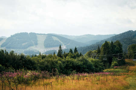 Beautiful mountain landscape. On the hills there is green grass and flowering plants. Carpathians in summer on a sunny dayの写真素材