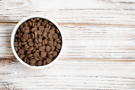 Close-up of pet food in a plate on a light wooden backgroundの写真素材