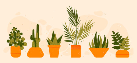 Set of houseplants. Indoor plant in flower pot. Decorative houseplants for interior home decoration. Vector green garden floral collection isolated on white backgroundのイラスト素材