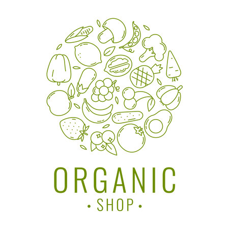 Organic food logo template. Fruit and vegetable icons in trendy linear styleのイラスト素材
