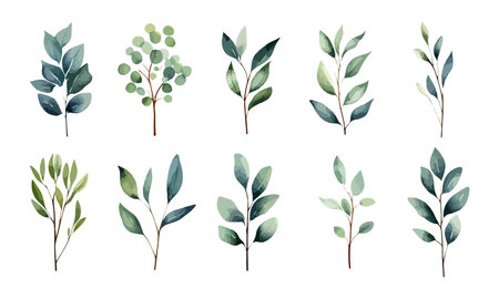 Botanical watercolor green leaves. Elegant twigs with foliage for greeting cards and invitationsのイラスト素材